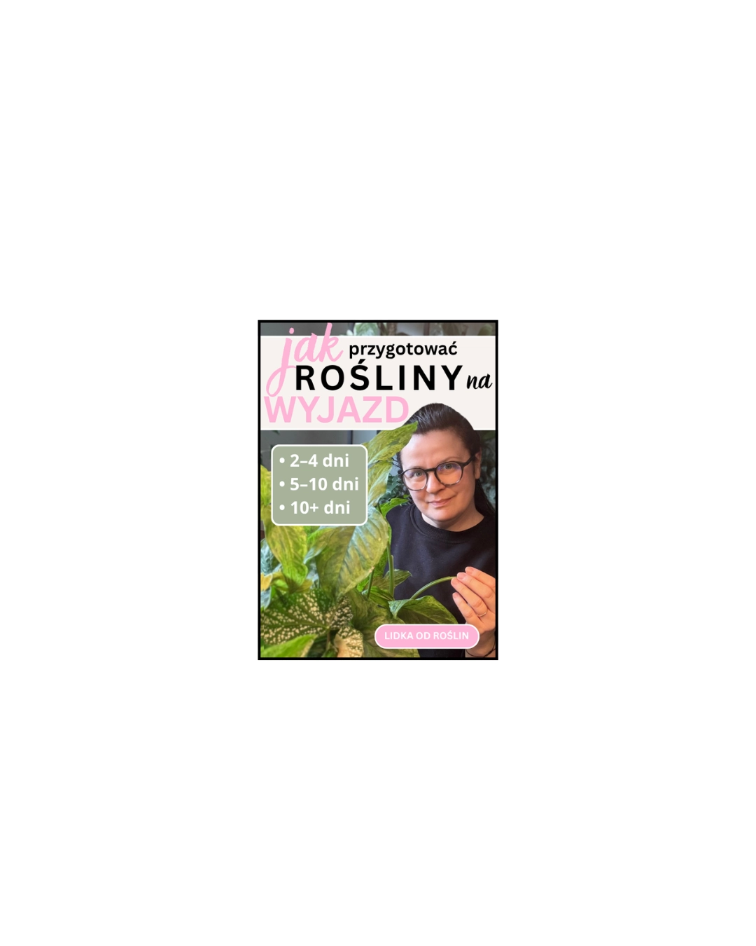 Jak przygotować rośliny na wyjazd